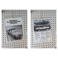 Eagle Sundancer Flyer(Single Page)