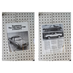 Eagle Sundancer Flyer(Single Page)