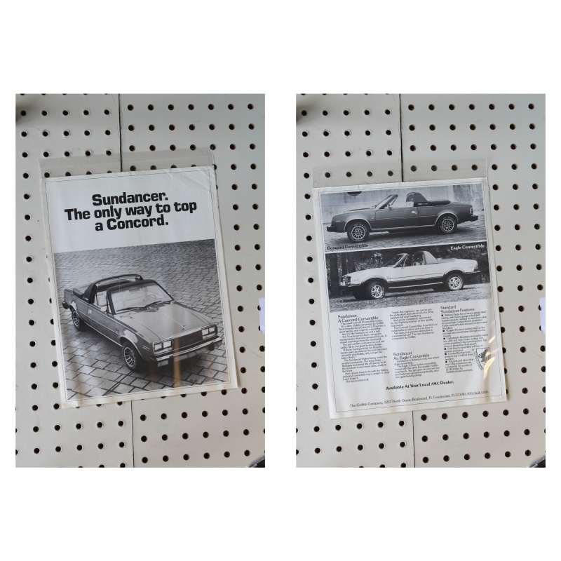 Eagle Sundancer Flyer(Single Page)