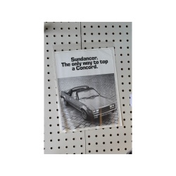 Eagle Sundancer Flyer(Single Page)