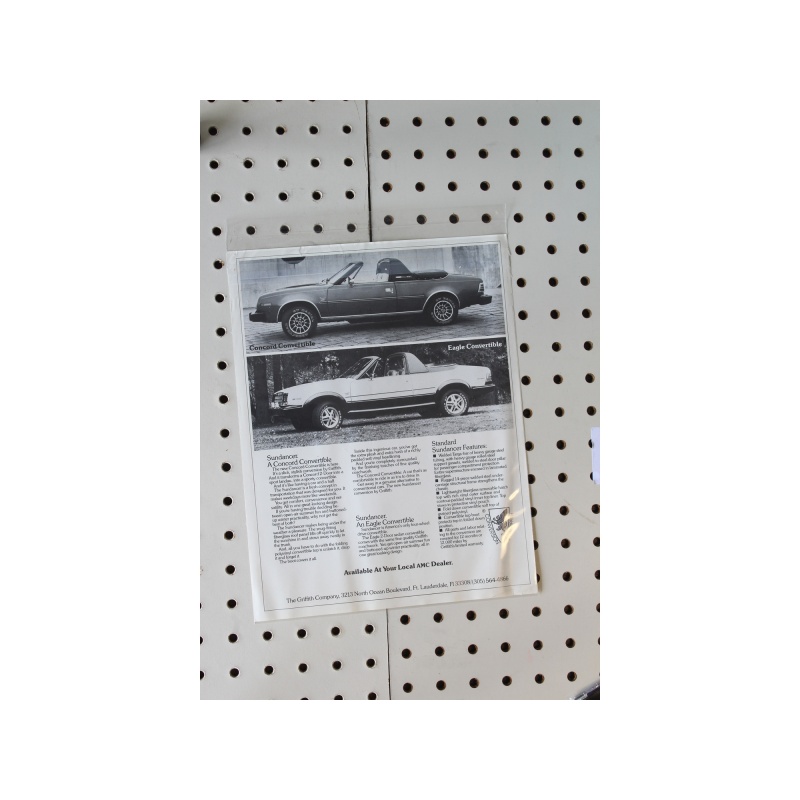 Eagle Sundancer Flyer(Single Page)