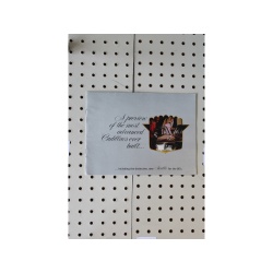 1980 Cadillac  Brochure Product Line-Up