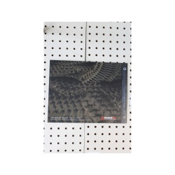 2008 Dodge  Brochure The Business link Connection