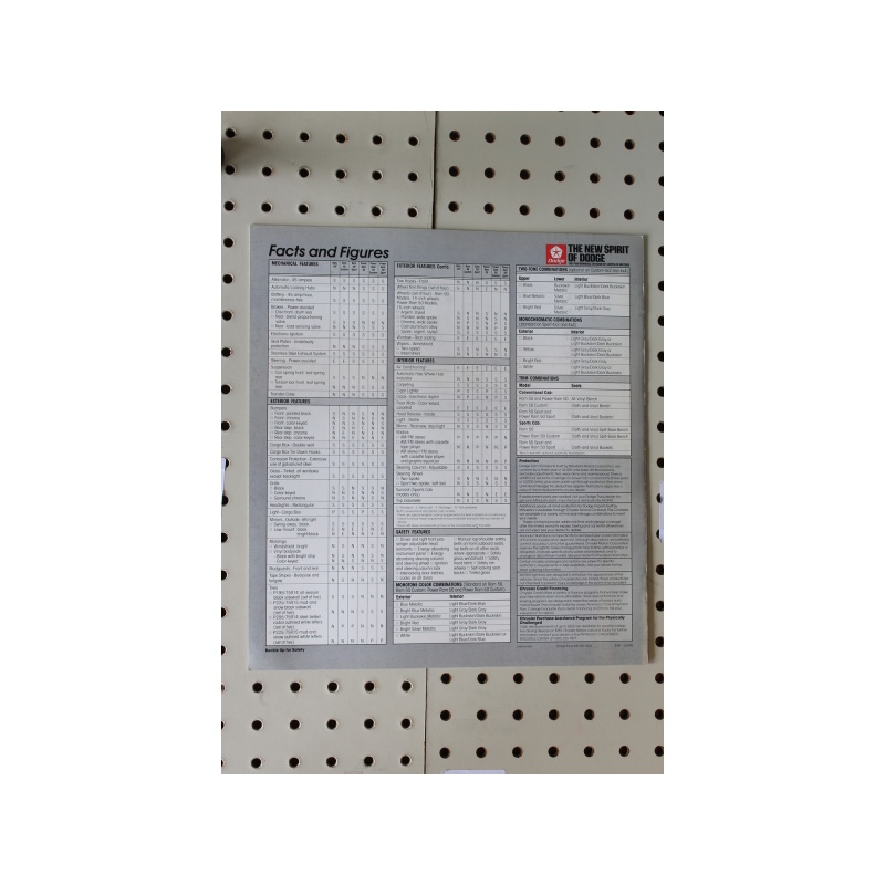 1989 Dodge  Brochure RAM Import Trucks