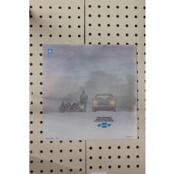 1981 Chevrolet Citation Brochure  15 Pages
