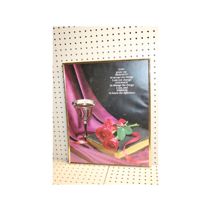 16 x 20 Framed Print