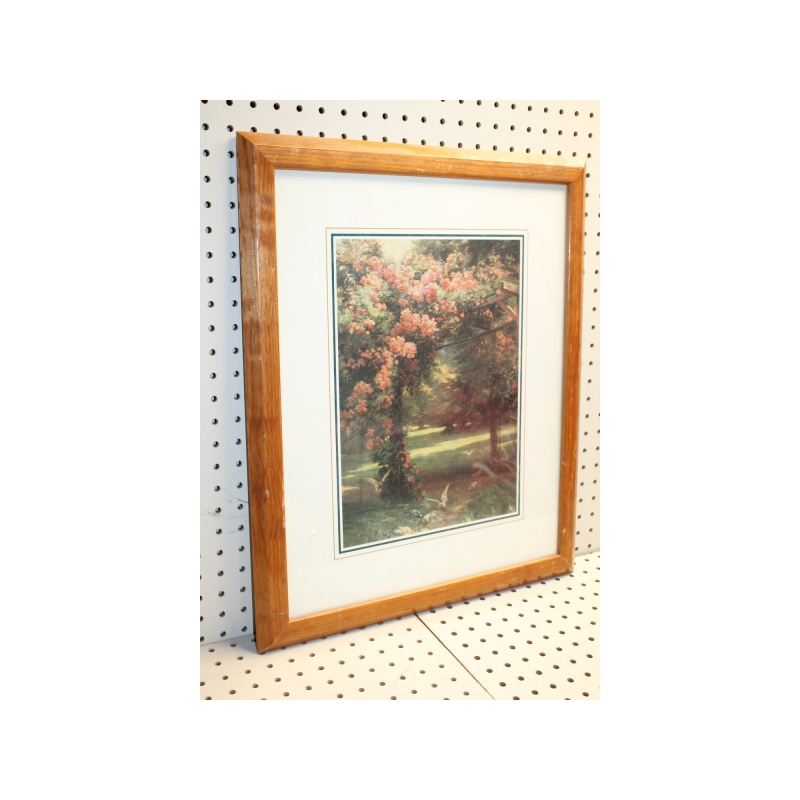 18.5 x 22.5 Framed Print