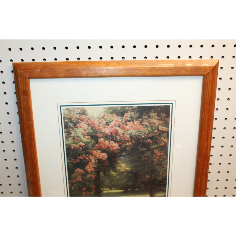 18.5 x 22.5 Framed Print