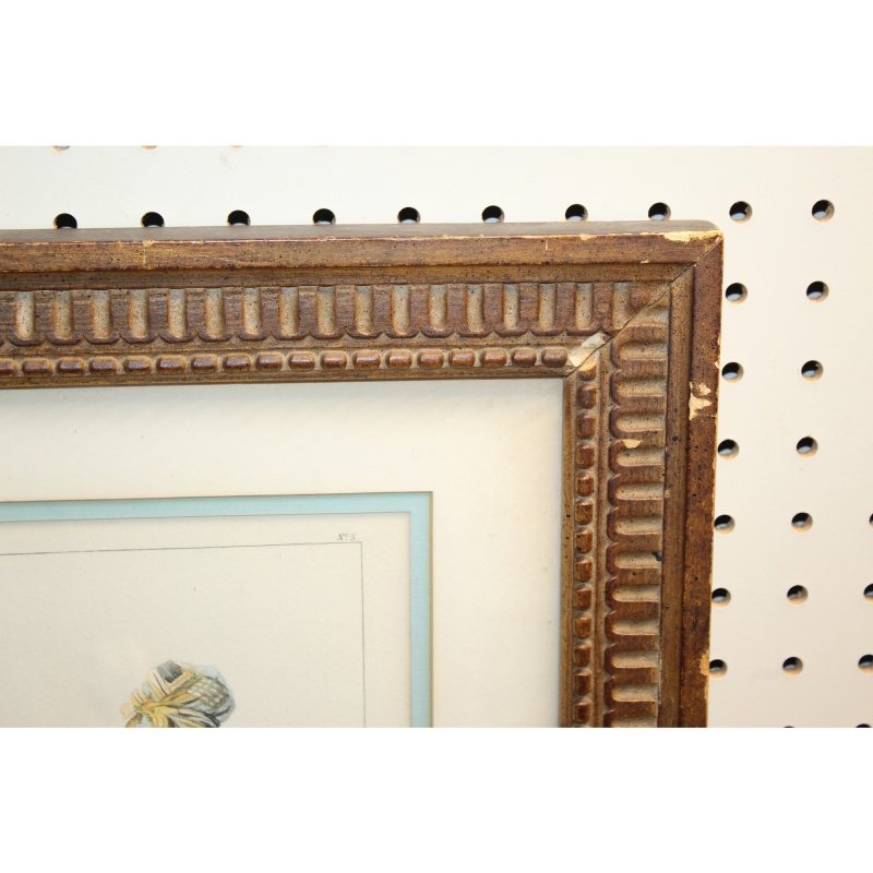 17.5 x 21 Framed Print Philibert Louis Debucourt