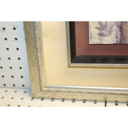 17 x 17 Framed Print