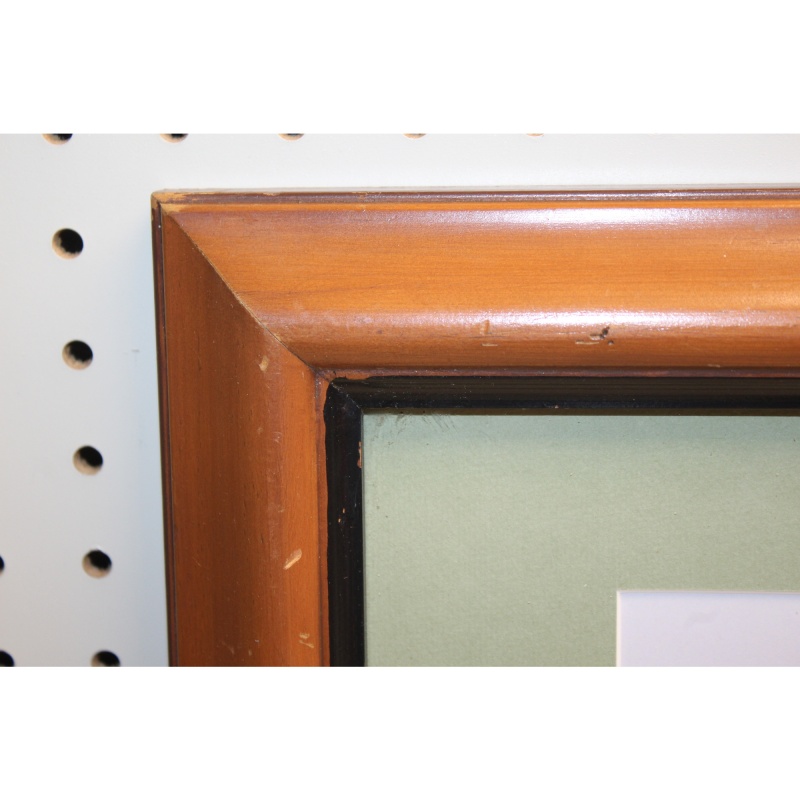 17 x 14.5 Framed Picture