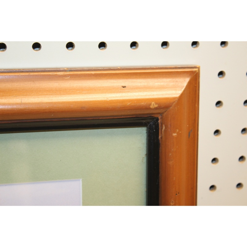 17 x 14.5 Framed Picture