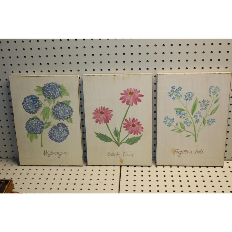 9 x 13 painted board - LOT OF 3
