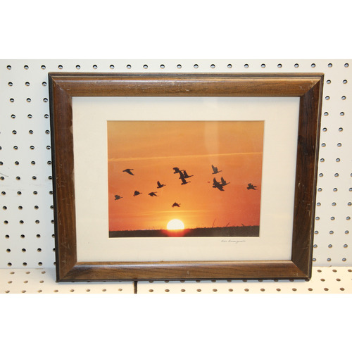 16 x 13 Framed Picture Signed Bill Banaszewski