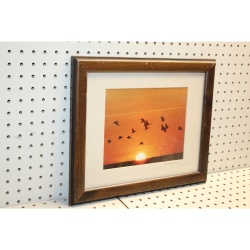 16 x 13 Framed Picture Signed Bill Banaszewski