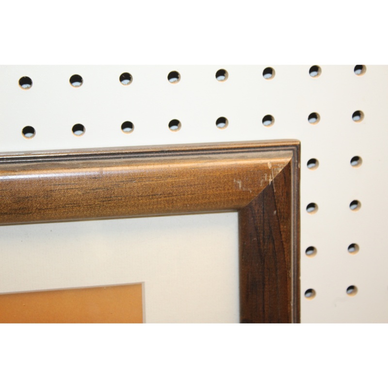 16 x 13 Framed Picture Signed Bill Banaszewski