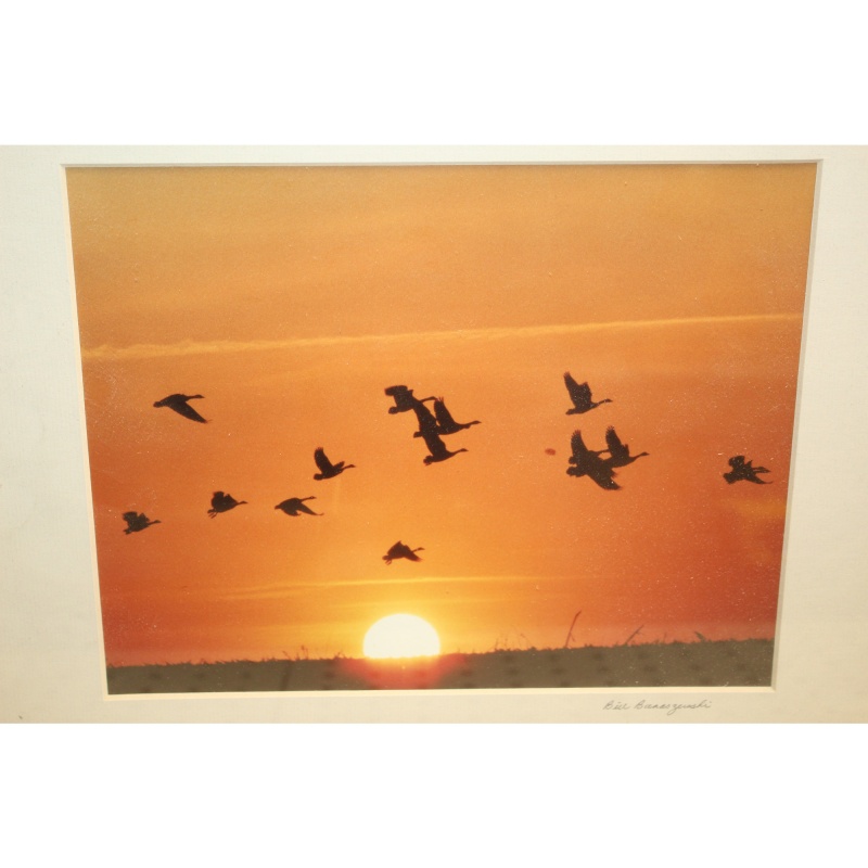 16 x 13 Framed Picture Signed Bill Banaszewski