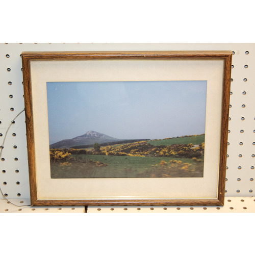 14.5 x 12 Framed Picture