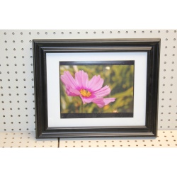 16 x 13 Framed Picture