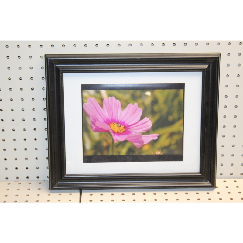 16 x 13 Framed Picture