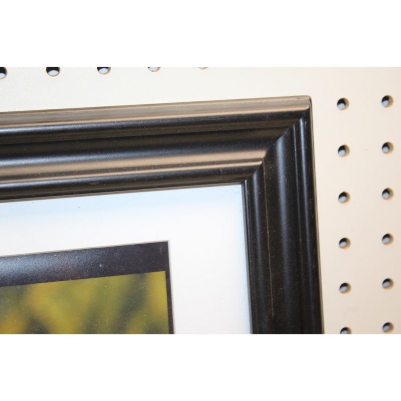 16 x 13 Framed Picture