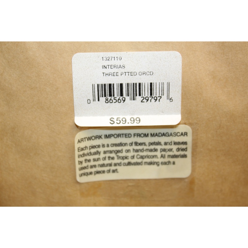 14.5 x 14.5 Framed Art FROM MADAGASCAR