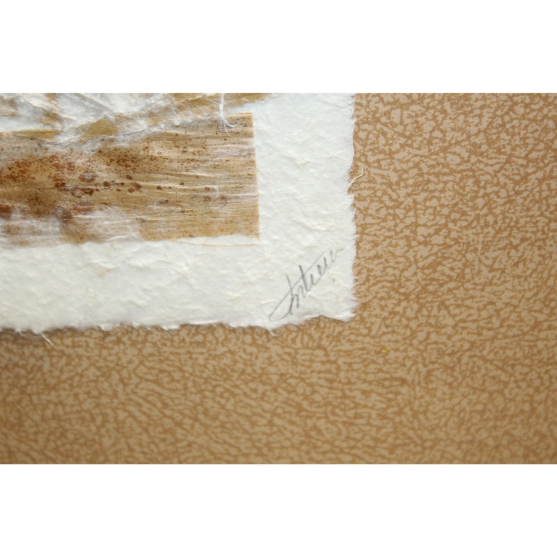 14.5 x 14.5 Framed Art FROM MADAGASCAR