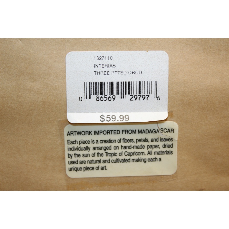 14.5 x 14.5 Framed Art FROM MADAGASCAR