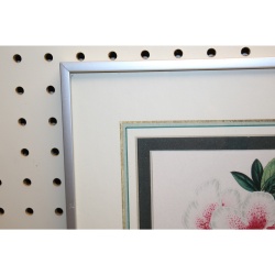 11.5 x 14.5 Framed Print AZALEA INDICA VAN GEERT