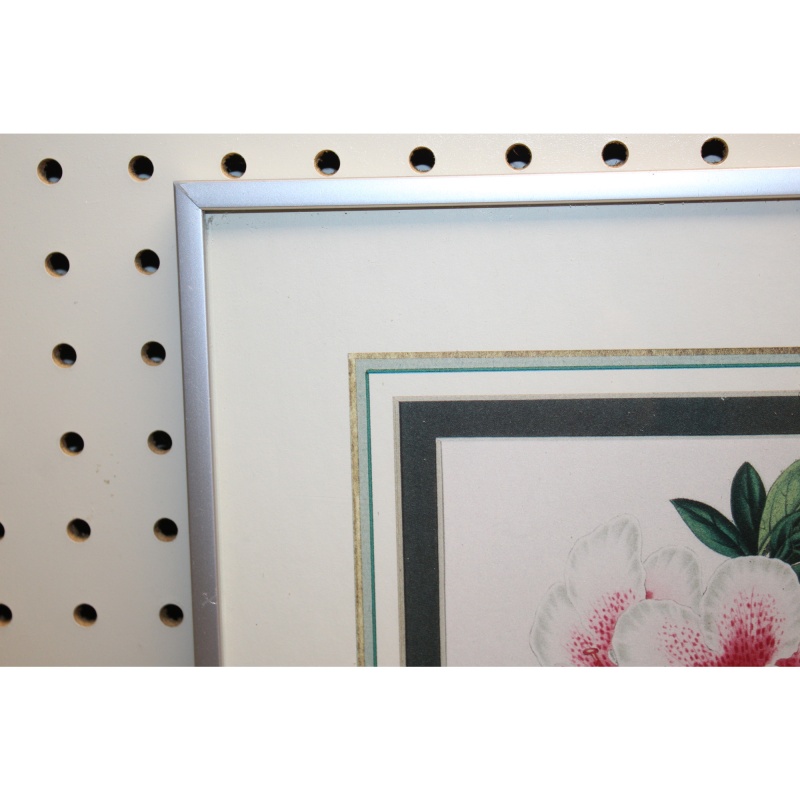 11.5 x 14.5 Framed Print AZALEA INDICA VAN GEERT