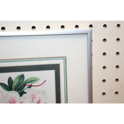 11.5 x 14.5 Framed Print AZALEA INDICA VAN GEERT