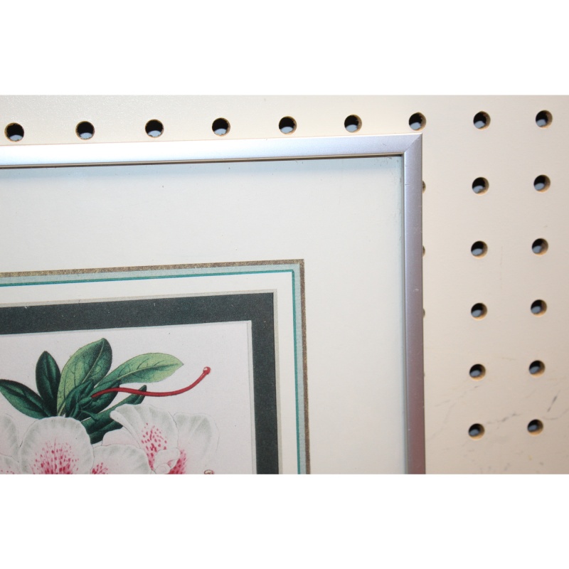 11.5 x 14.5 Framed Print AZALEA INDICA VAN GEERT