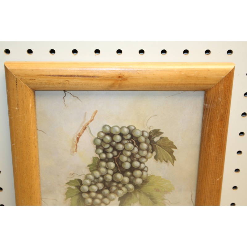 10 x 12 Framed Print SAUVIGNON BLANC