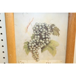 10 x 12 Framed Print SAUVIGNON BLANC
