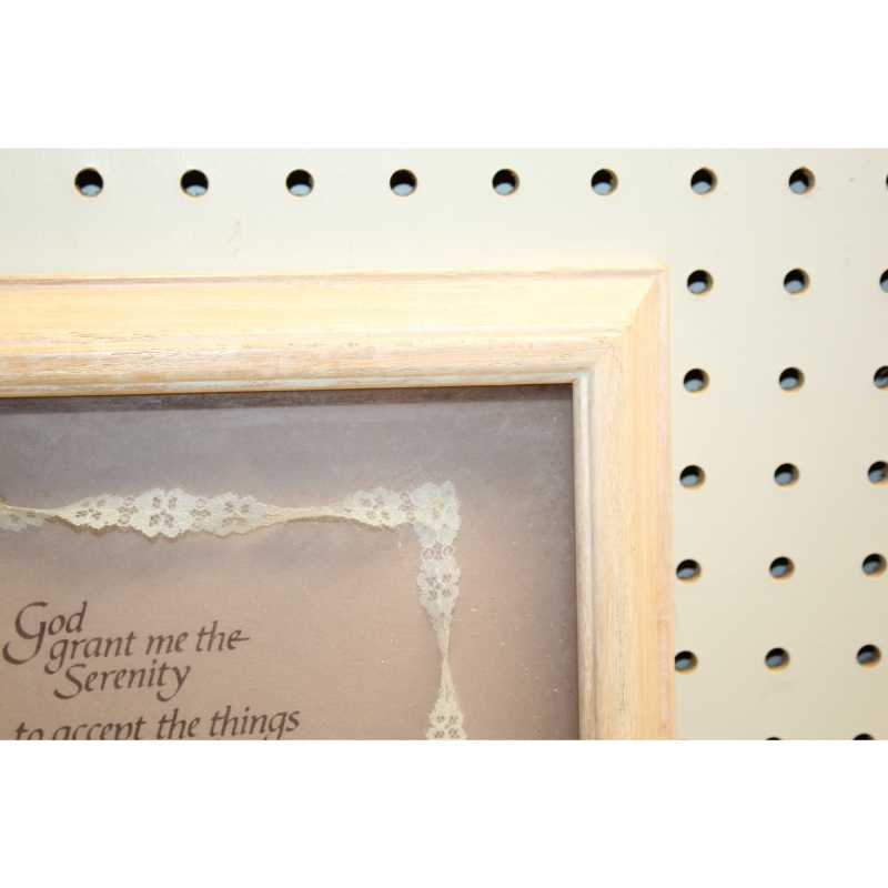 10 x 10 Framed Art DICKSONS DRIED FLOWER