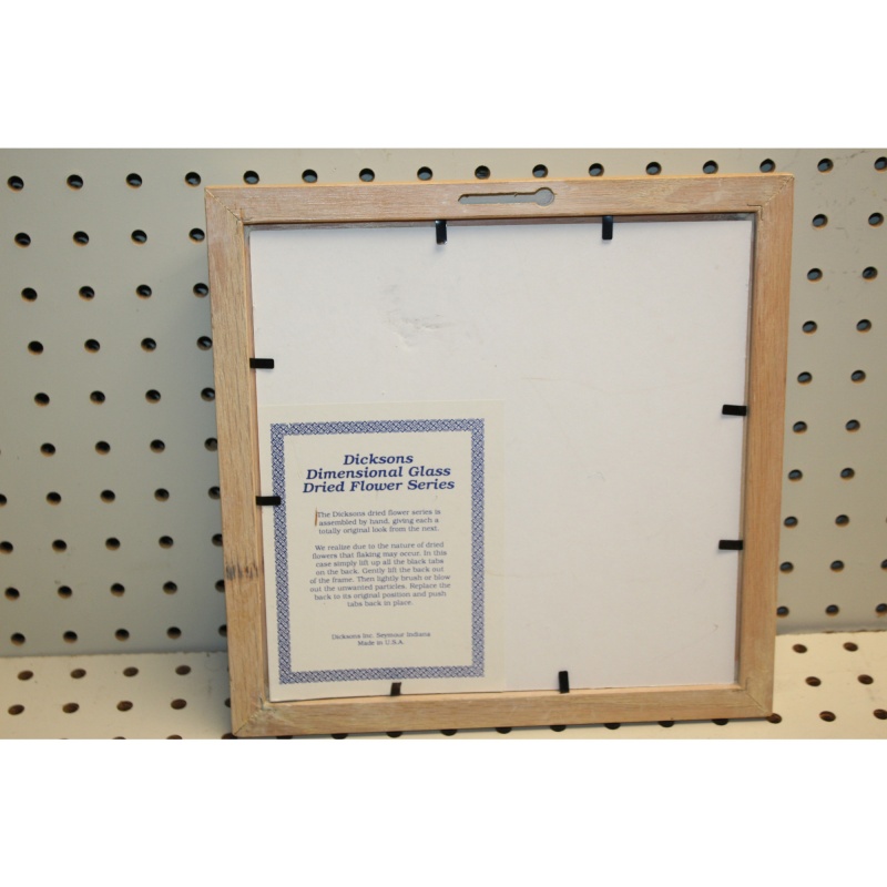 10 x 10 Framed Art DICKSONS DRIED FLOWER