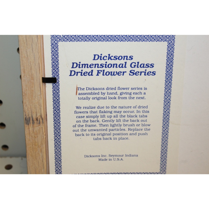 10 x 10 Framed Art DICKSONS DRIED FLOWER