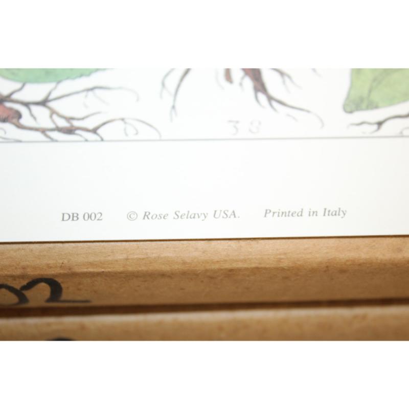 10" x 14" Art Print DB002 Floral Rose Selavy Ltd. London England Printed Italy