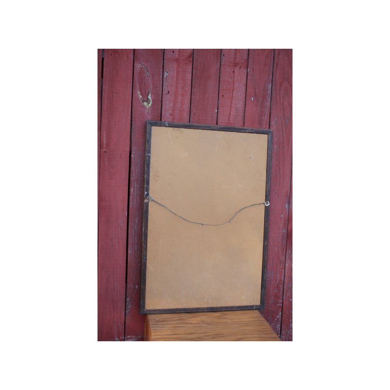 27.5" x 40" Decorative Mirror with Design on the Mirror