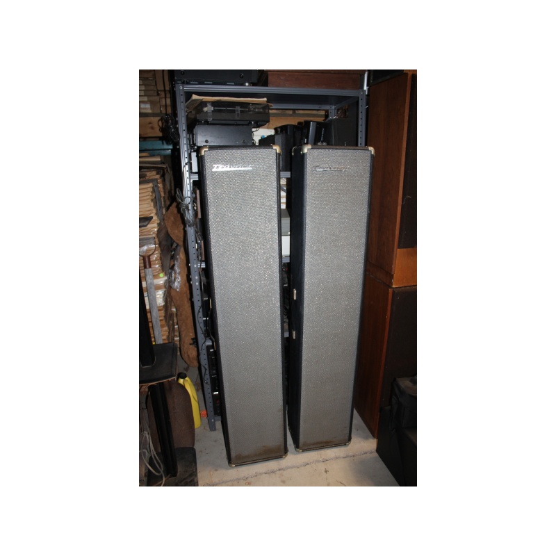 Traynor YSC-1 PA Column