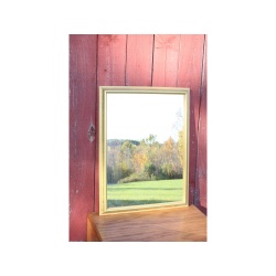Very nice 20.5" x 27" Gold Frame Mirror