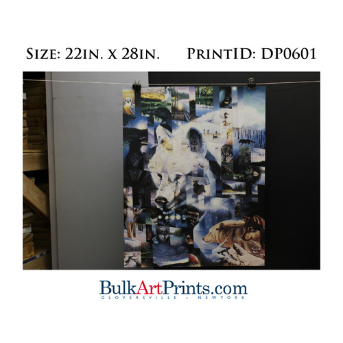 (22 x 28) Poster Art Prints DP0601 CRISPIN DE PASSE