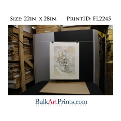 (22 x 28) Poster Art Prints FL2245 ROSALIND OESTERLE