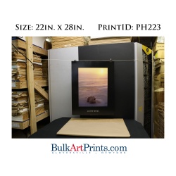 (22 x 28) Poster Art Prints PH223 DAVID E. MYERS POLAR BEAR