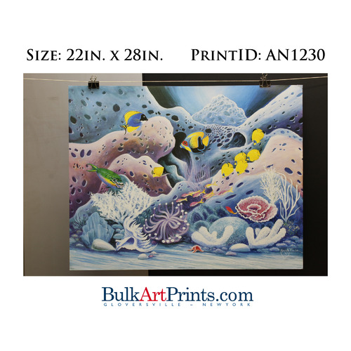 (22 x 28) Poster Art Prints AN1230 Miriam Ecker Tropical Fish