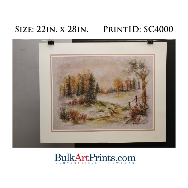 (22 x 28) Poster Art Prints SC4000 Kathleen English-Pitts Forrest