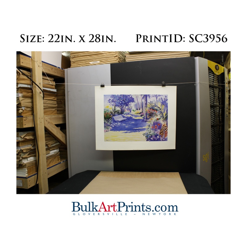 (22 x 28) Poster Art Prints SC3956 Hazel Soan