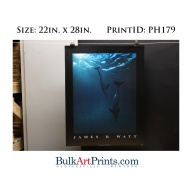 (22 x 28) Poster Art Prints PH179 James D. Watt Dolphins