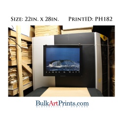 (22 x 28) Poster Art Prints PH182 James D. Watt Whale Tail Fin