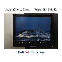 (22 x 28) Poster Art Prints PH182 James D. Watt Whale Tail Fin